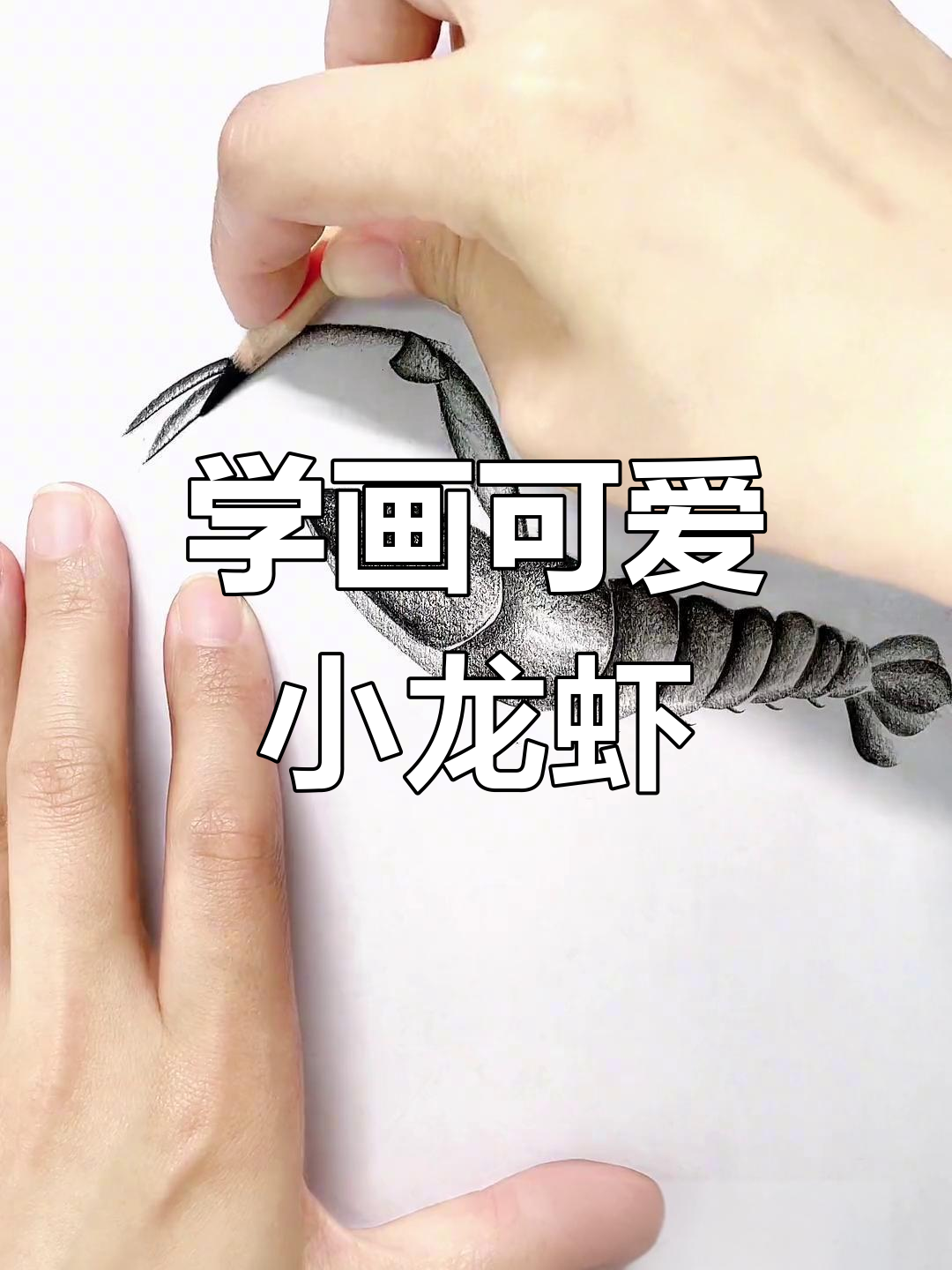 零基础学画龙虾,简单又好玩!