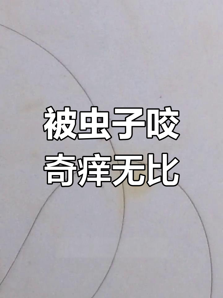 狮子虫的痛苦记忆
