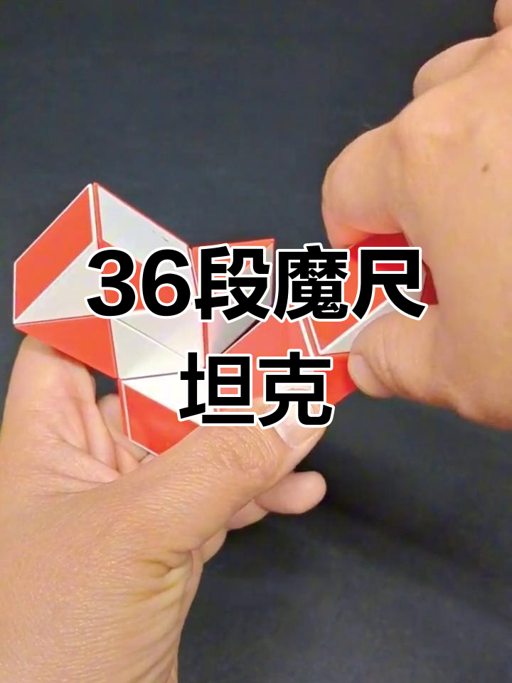 36段魔尺变海龟图片