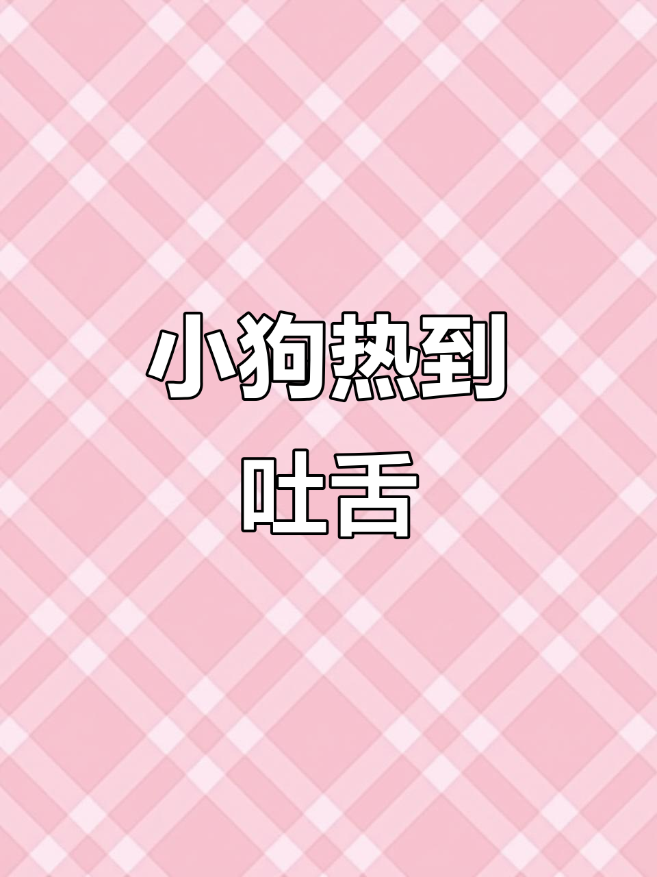 天气炎热,柯基宝宝直吐舌头,萌态十足