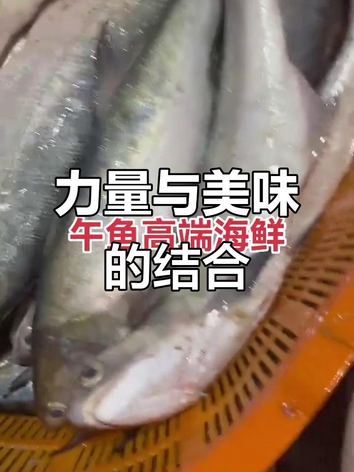 这种鱼力气大,肉质鲜美紧实,舟山人称之为章跳