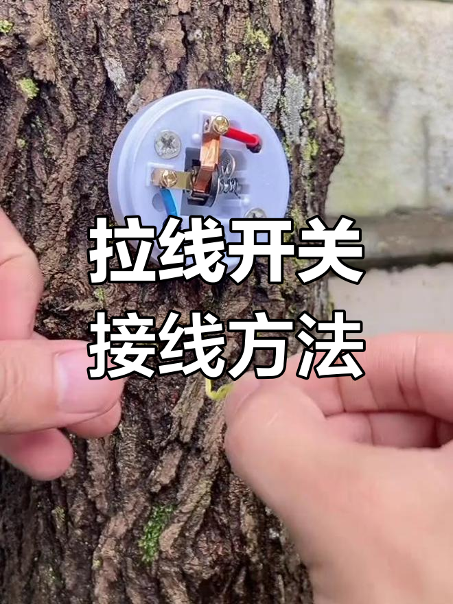 轻松掌握拉线开关绑线技巧,步骤详解