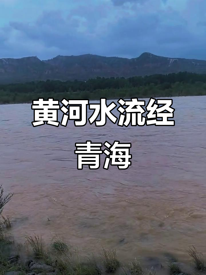 黄河水变黄,青海大雨来袭