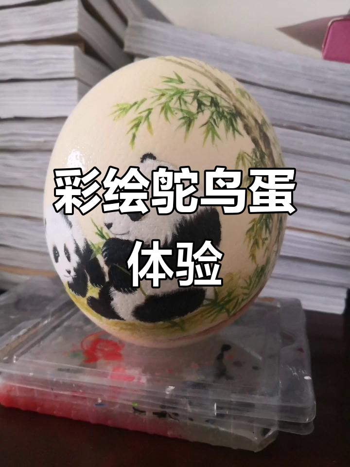 第一次尝试彩绘鸵鸟蛋,竟然这么有趣!