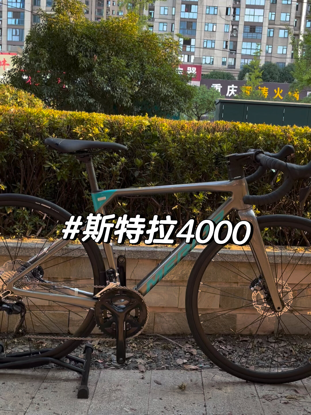 美利达斯特拉4000