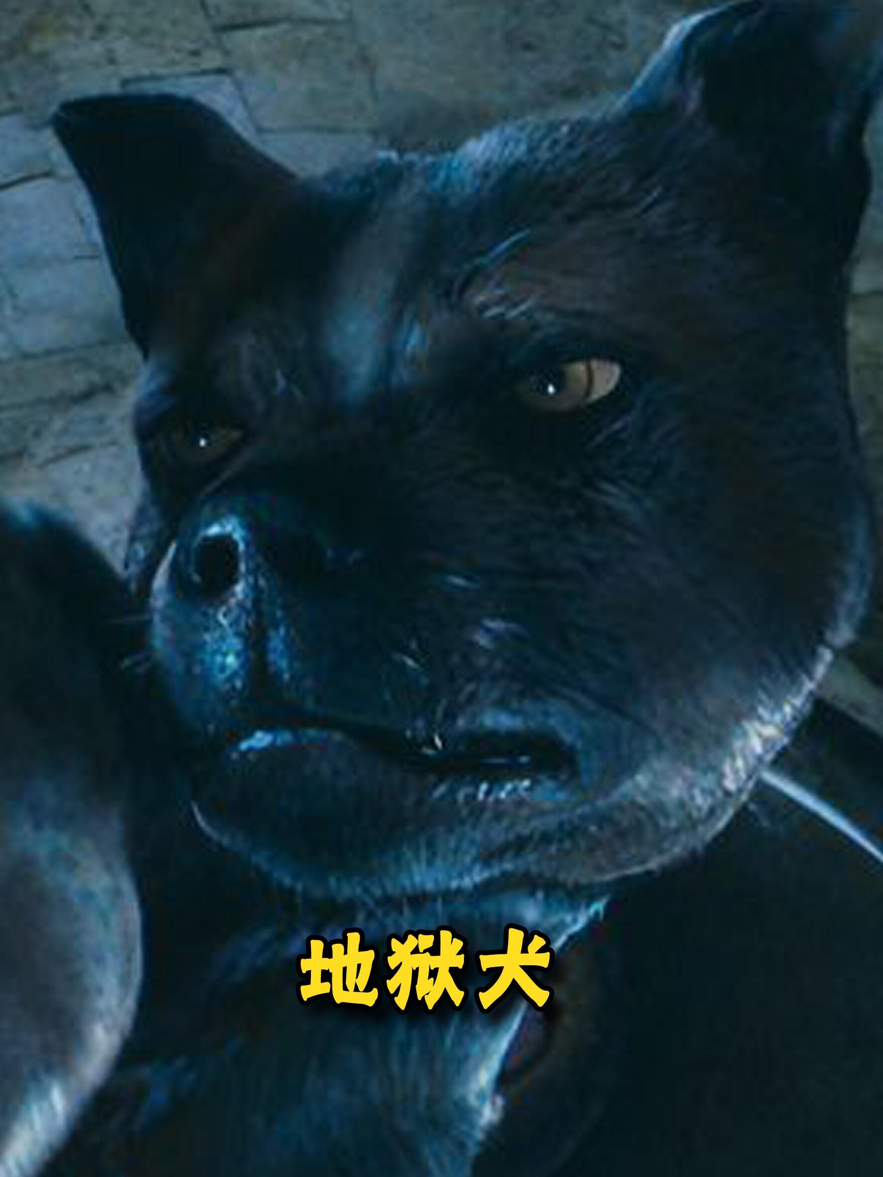 地狱三头犬竟真的存在