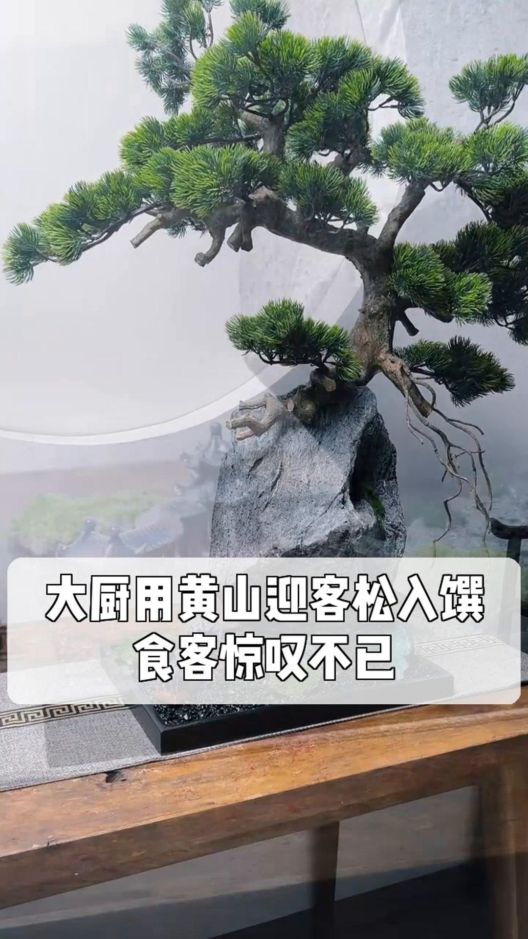 大厨用黄山迎客松入馔,食客惊叹不已