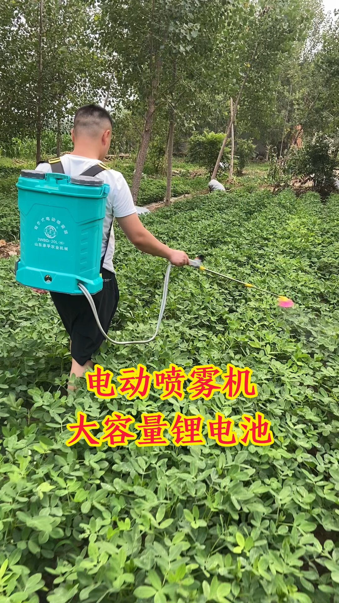 全自动电动喷雾器农用电动锂电消毒喷雾器全