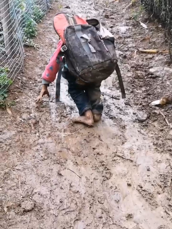 贫困山区孩子们求学之路如此艰辛!