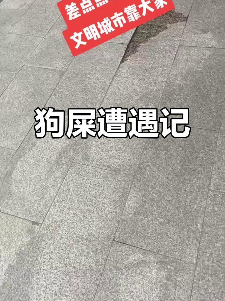 偶遇萌宠,踩到狗屎?主人会赔鞋吗?
