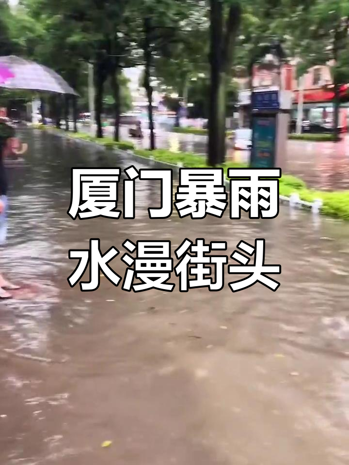厦门暴雨来袭,街区水浸小车被淹