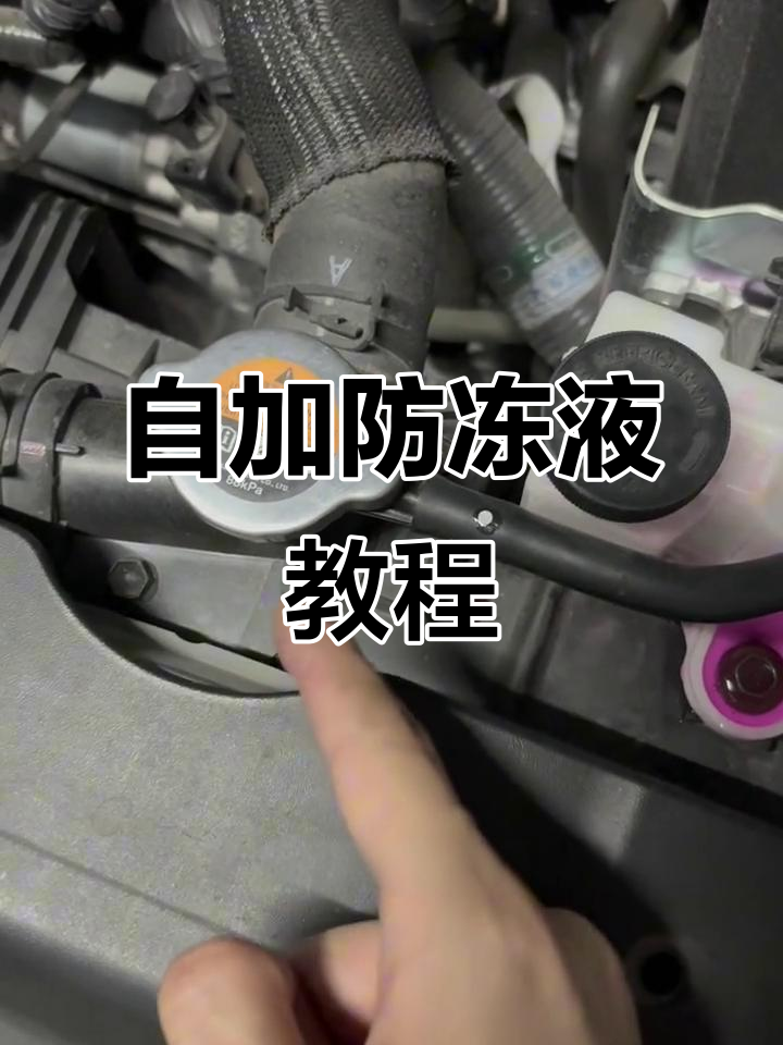 轩逸防冻液轻松加,省钱又简单!