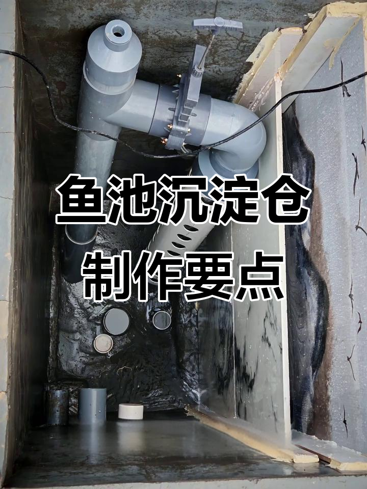 鱼池过滤系统揭秘:沉淀舱设计与拔管技巧