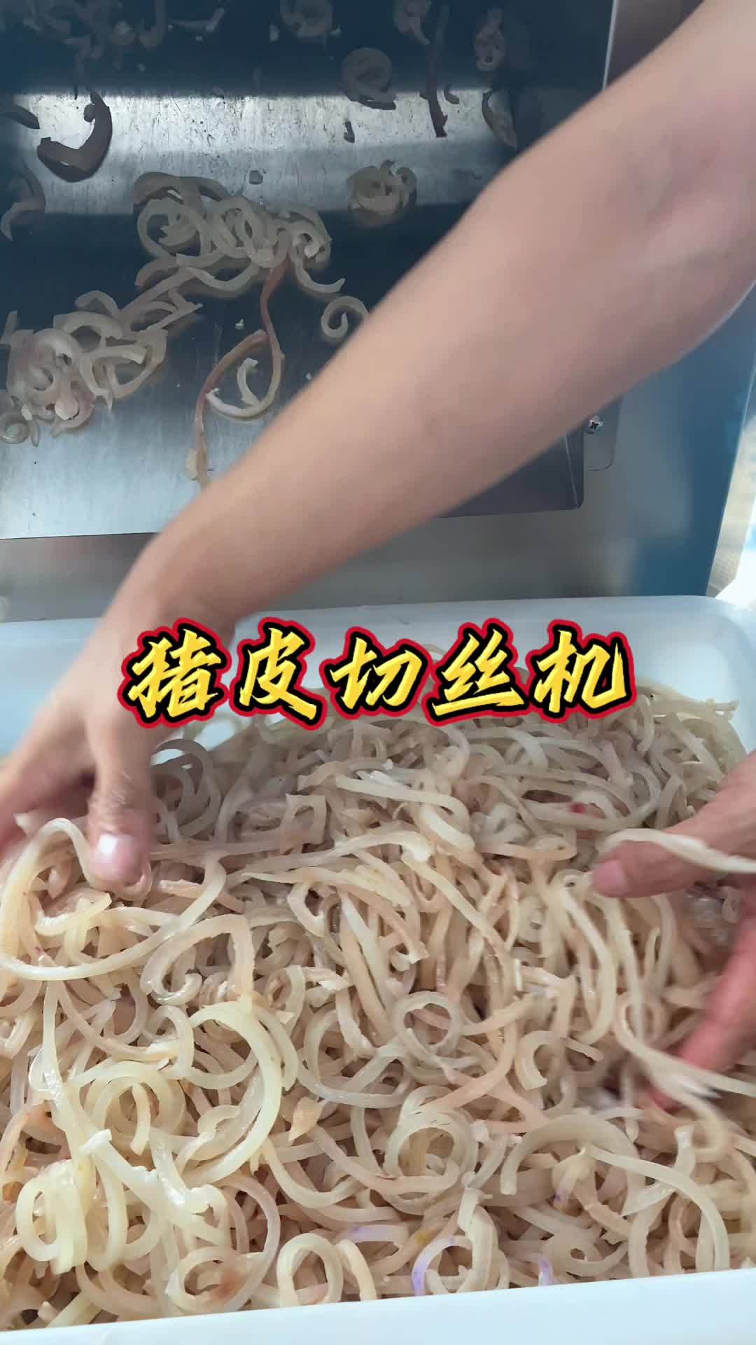 熟猪皮切丝做皮冻 肉类加工设备 切肉机 工程款切肉机 猪皮切丝机 切