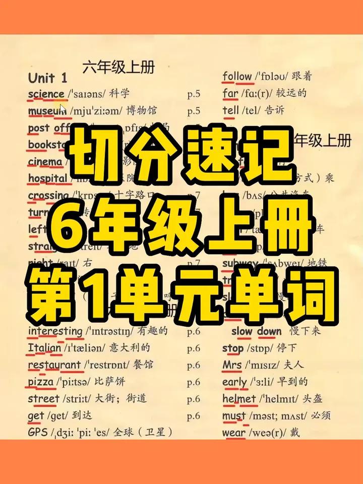 六年级单词记忆视频(英语)(小学六年级英语单词怎么记效果好)