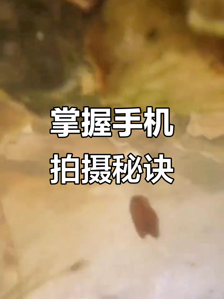 手机追拍摄影技巧视频教程，技巧大全