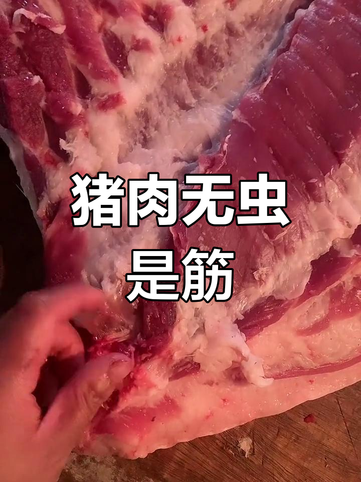 猪肉里红色虫子像血管图片