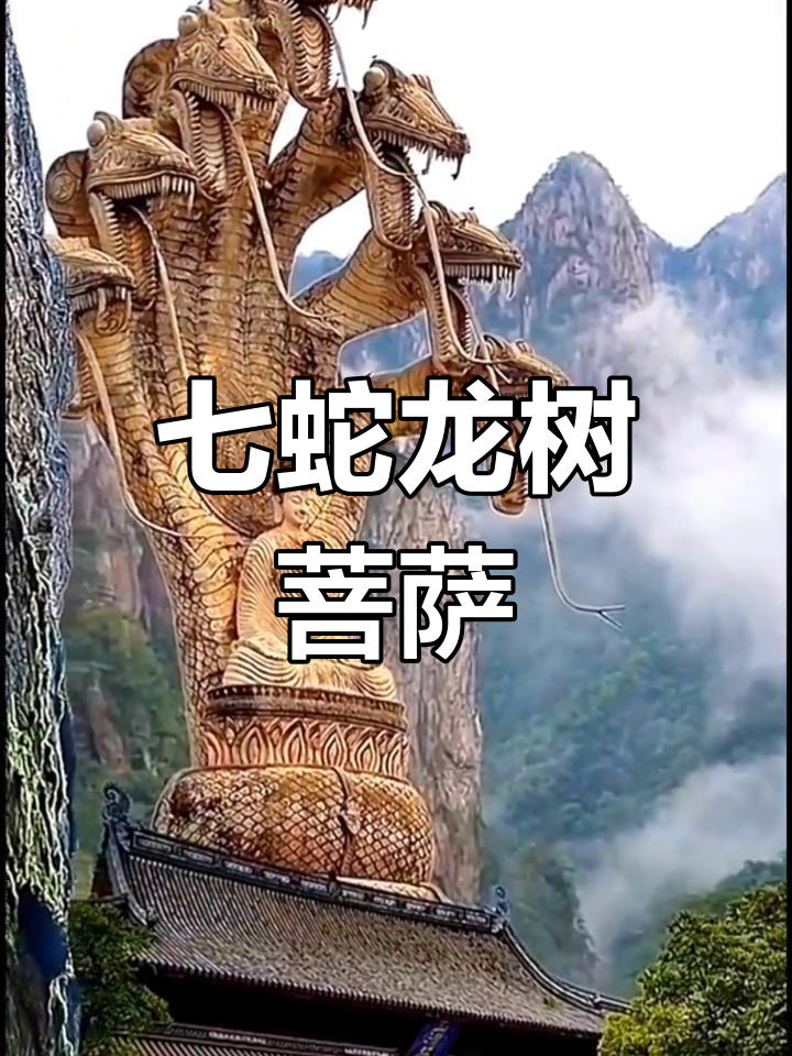 龙树菩萨威武形象,头戴七蛇