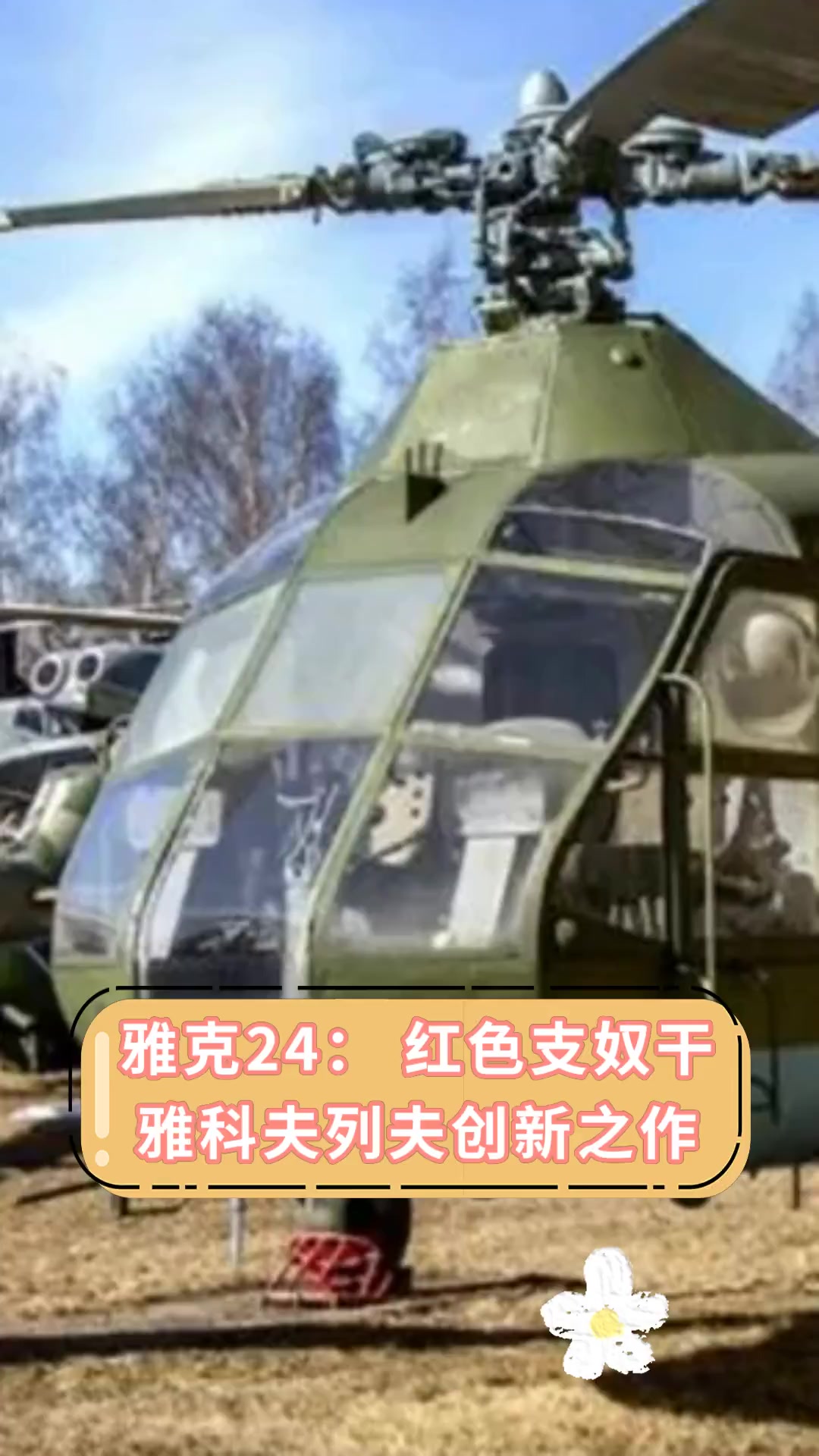 雅克28b图片