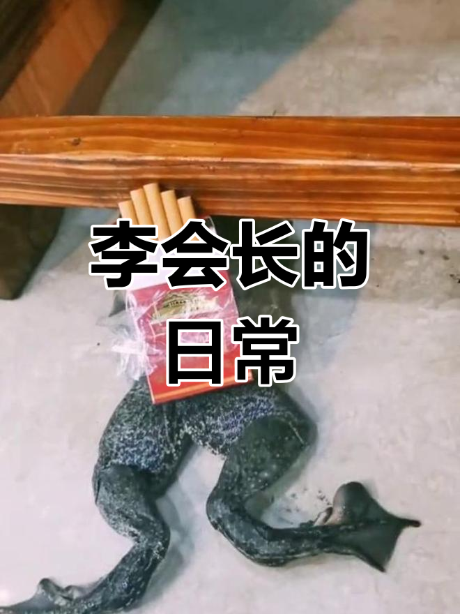 李会长街溜子抖音=李会长街溜子拍的电影叫什么