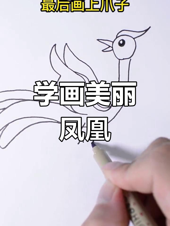 简单几步画出凤凰简笔画