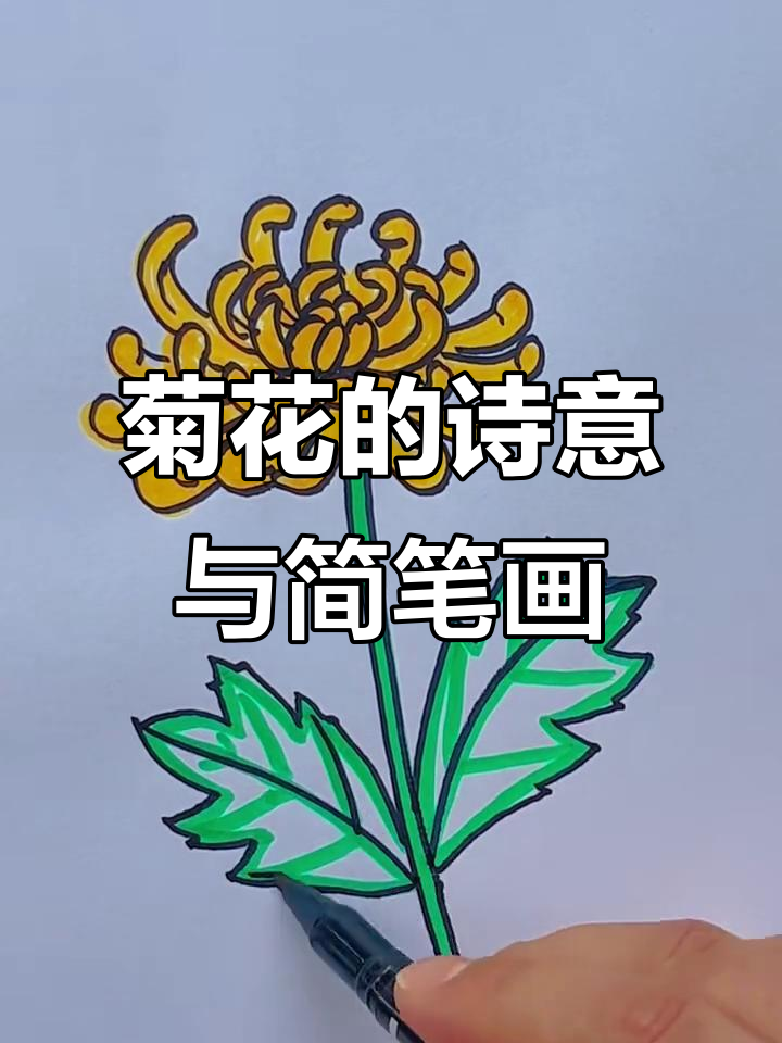 画一朵菊花,纪念陶渊明的大诗篇