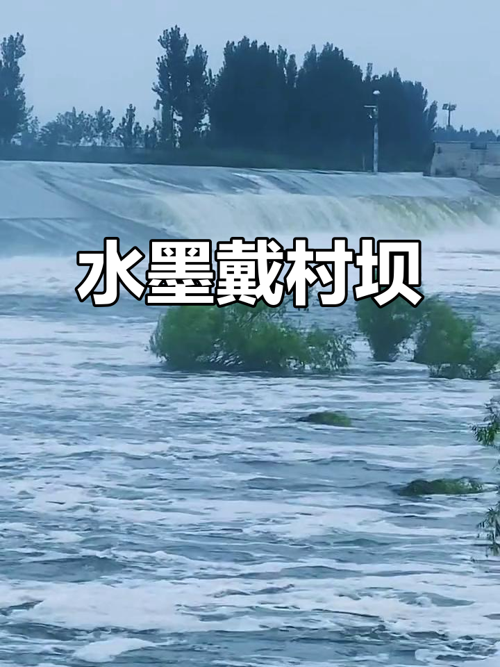 戴村天气预报