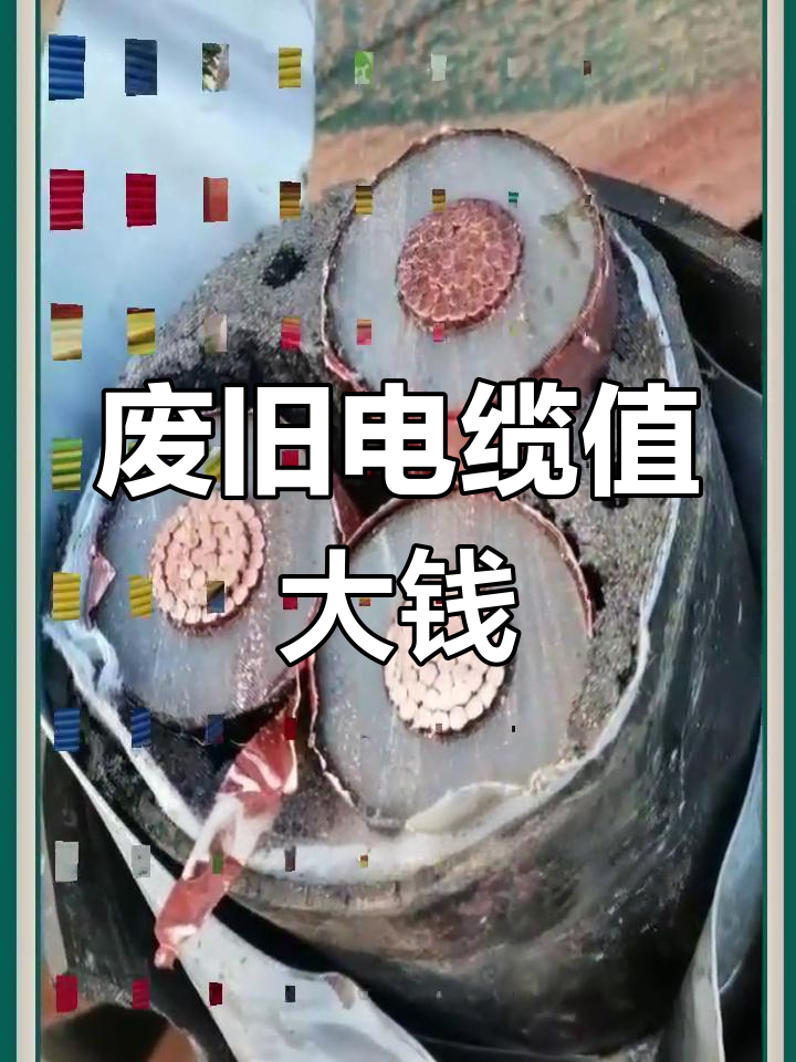 哈尔滨！废旧电缆回收公司“快捷变现”