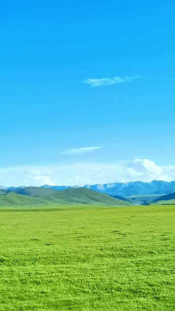 蓝天白云绿草地,领略美丽草原无限风光