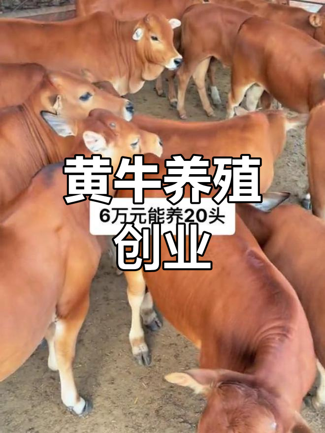 现在养什么最赚钱农村(现在养什么最赚钱农村人)