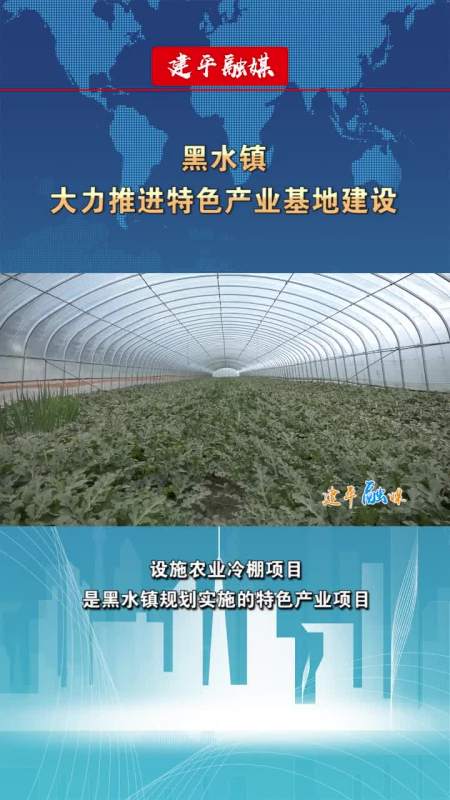 黑水镇大力推进特色产业基地建设