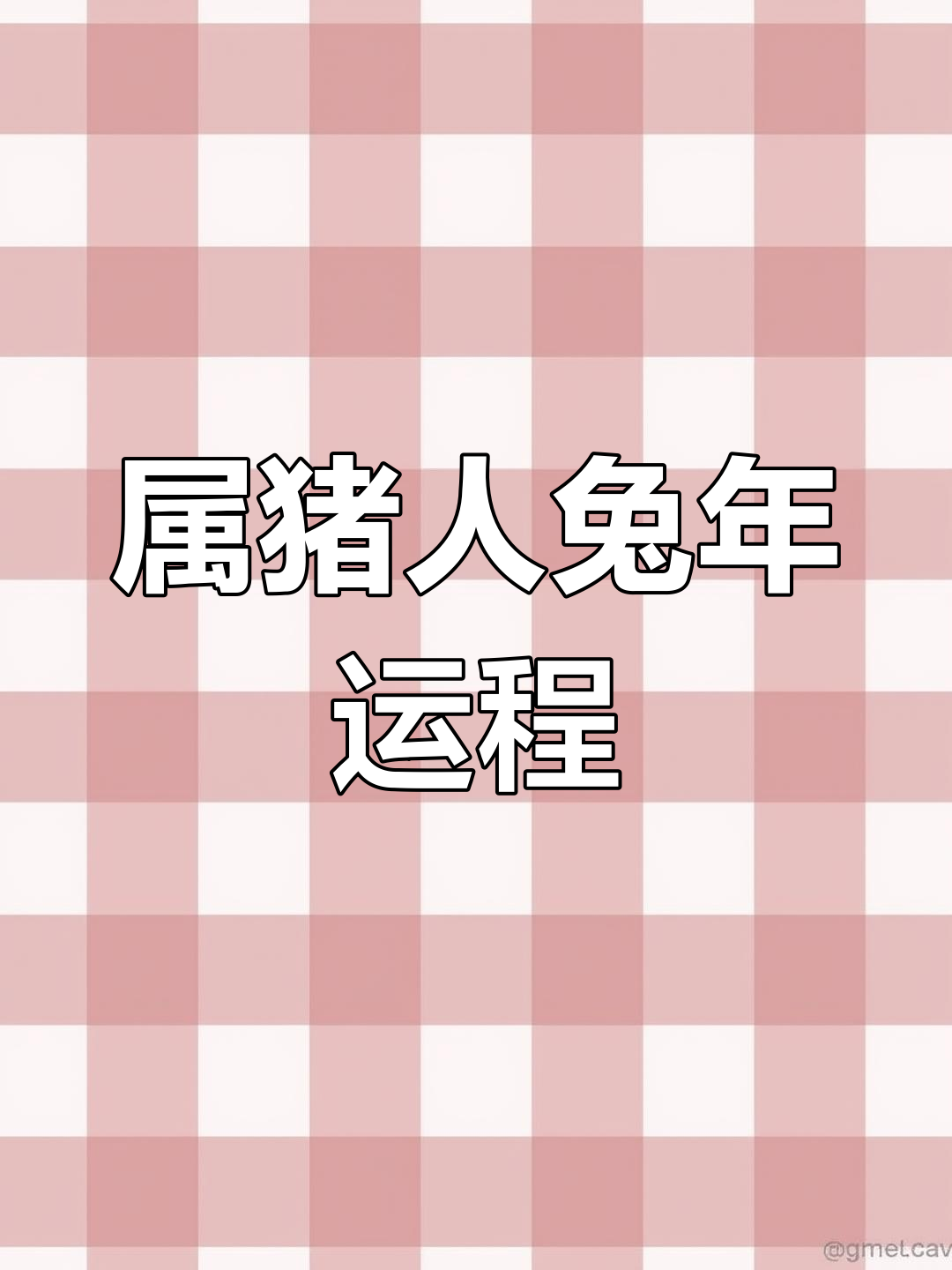 兔年猪生肖运势和财运(属兔的在猪年运气怎么样)