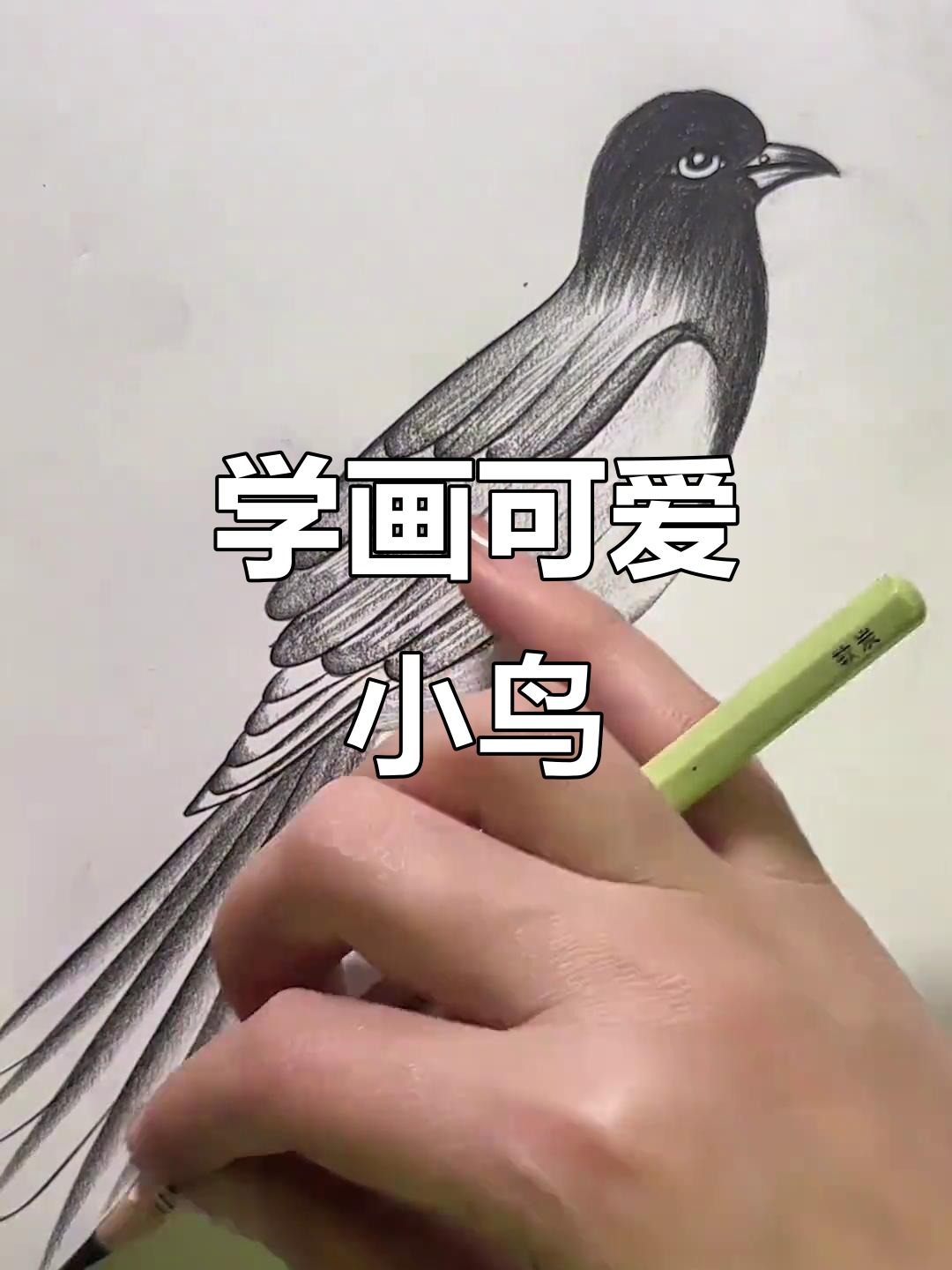 零基础学画鸟,简单又有趣