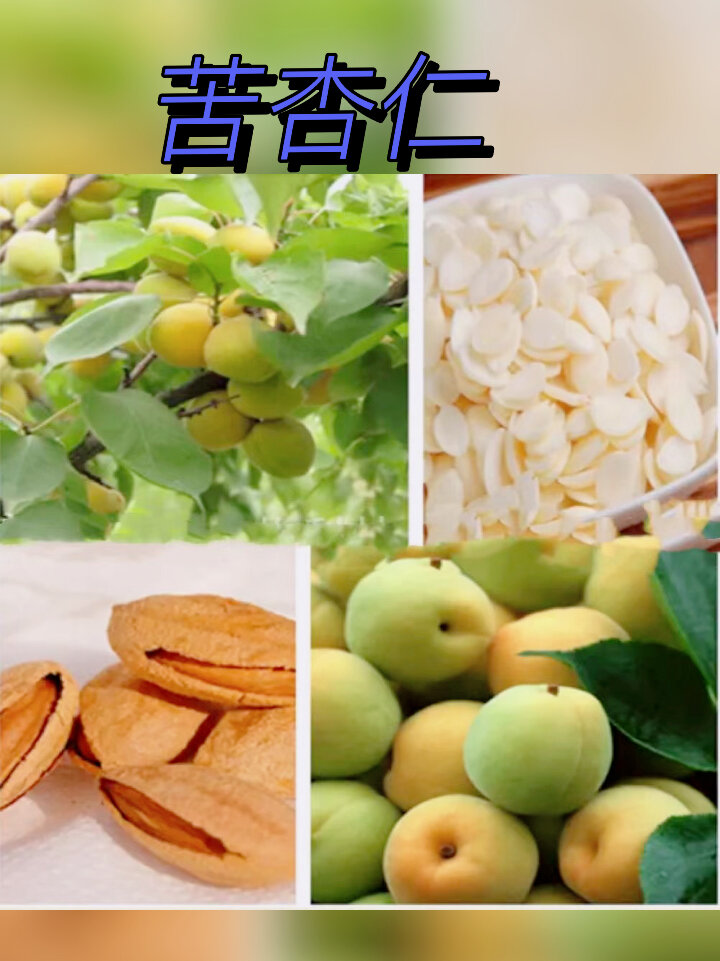 中药材苦杏仁
