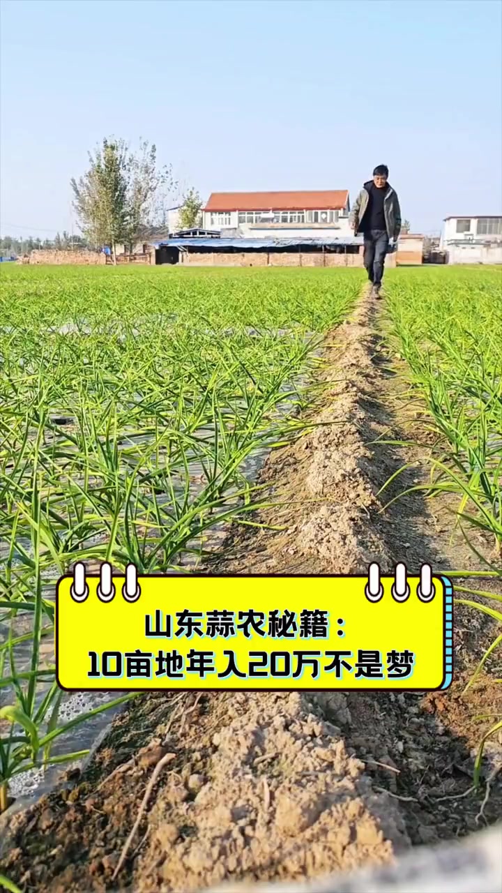 10亩地多少钱(10亩地要多少钱)