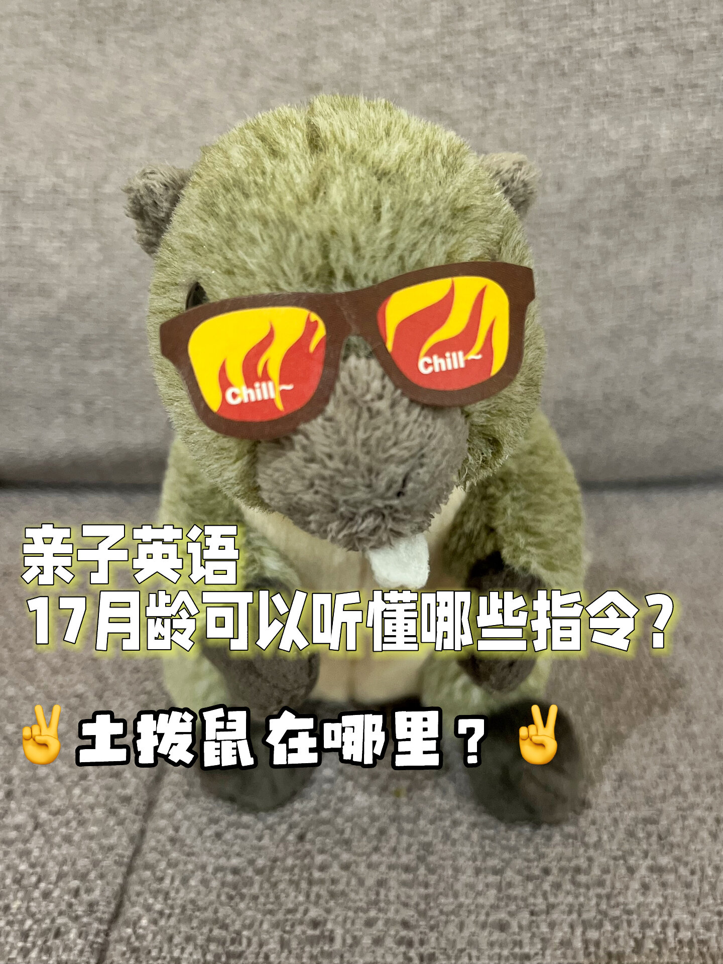 「亲子英语」17月龄,土拨鼠怎么说