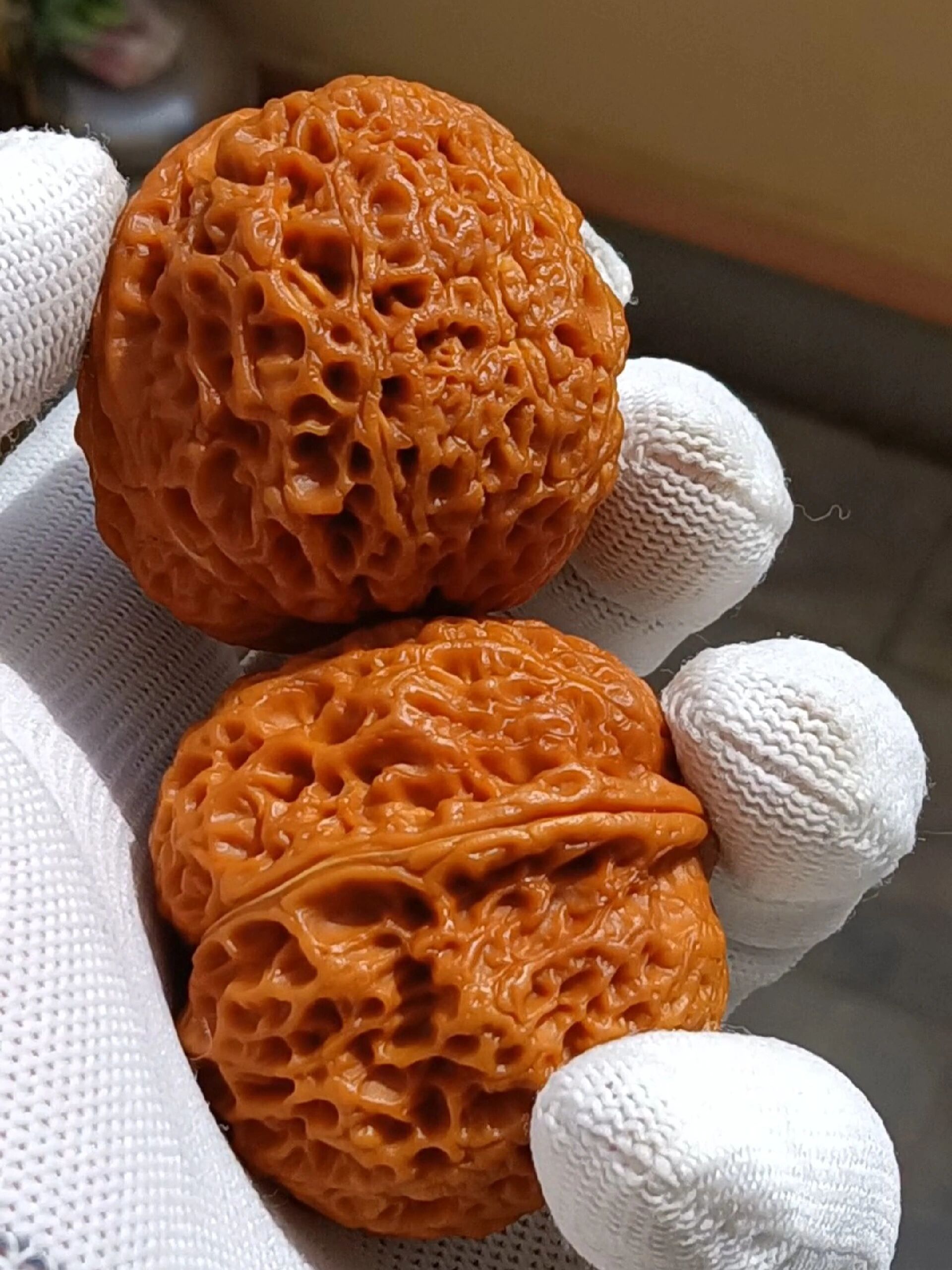不愧是铁核桃绣球份量沉 密度高 坑纹虐