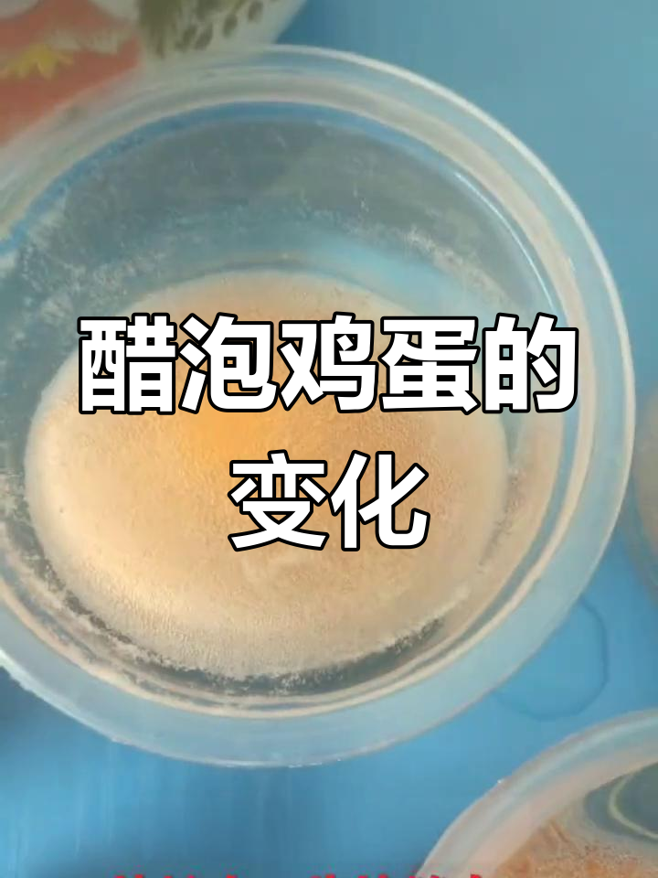 白醋泡鸡蛋的实验原理图片