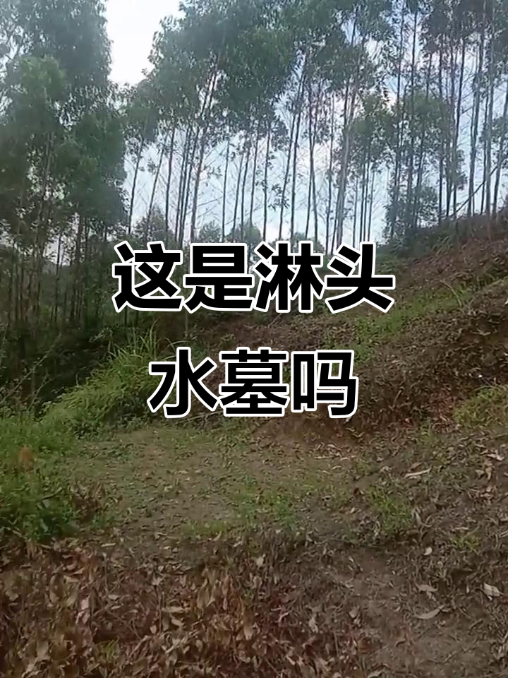 这座古墓是不是淋头水之墓?你仔细看看