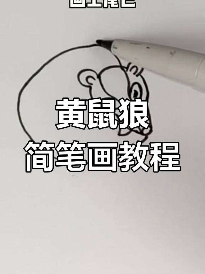 简单画黄鼠狼的步骤