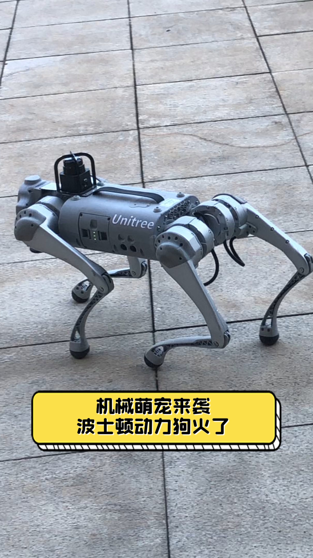 机械萌宠来袭,波士顿动力狗火了