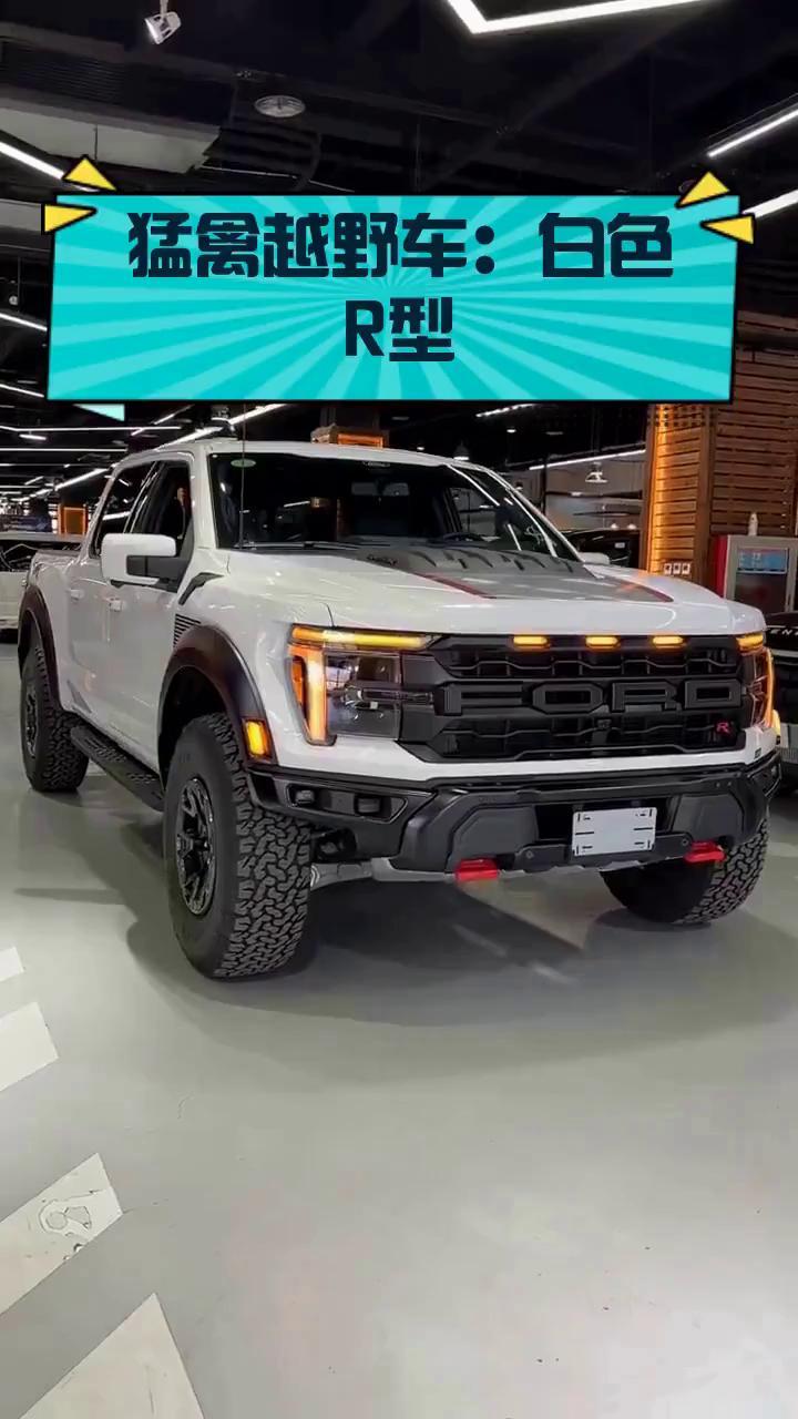 猛禽越野车:白色r型
