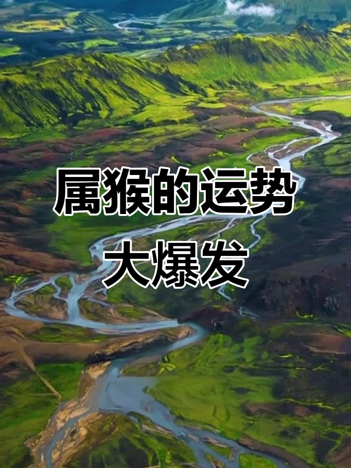 生肖每日运势猴年运程(生肖每日运势猴年运程如何)