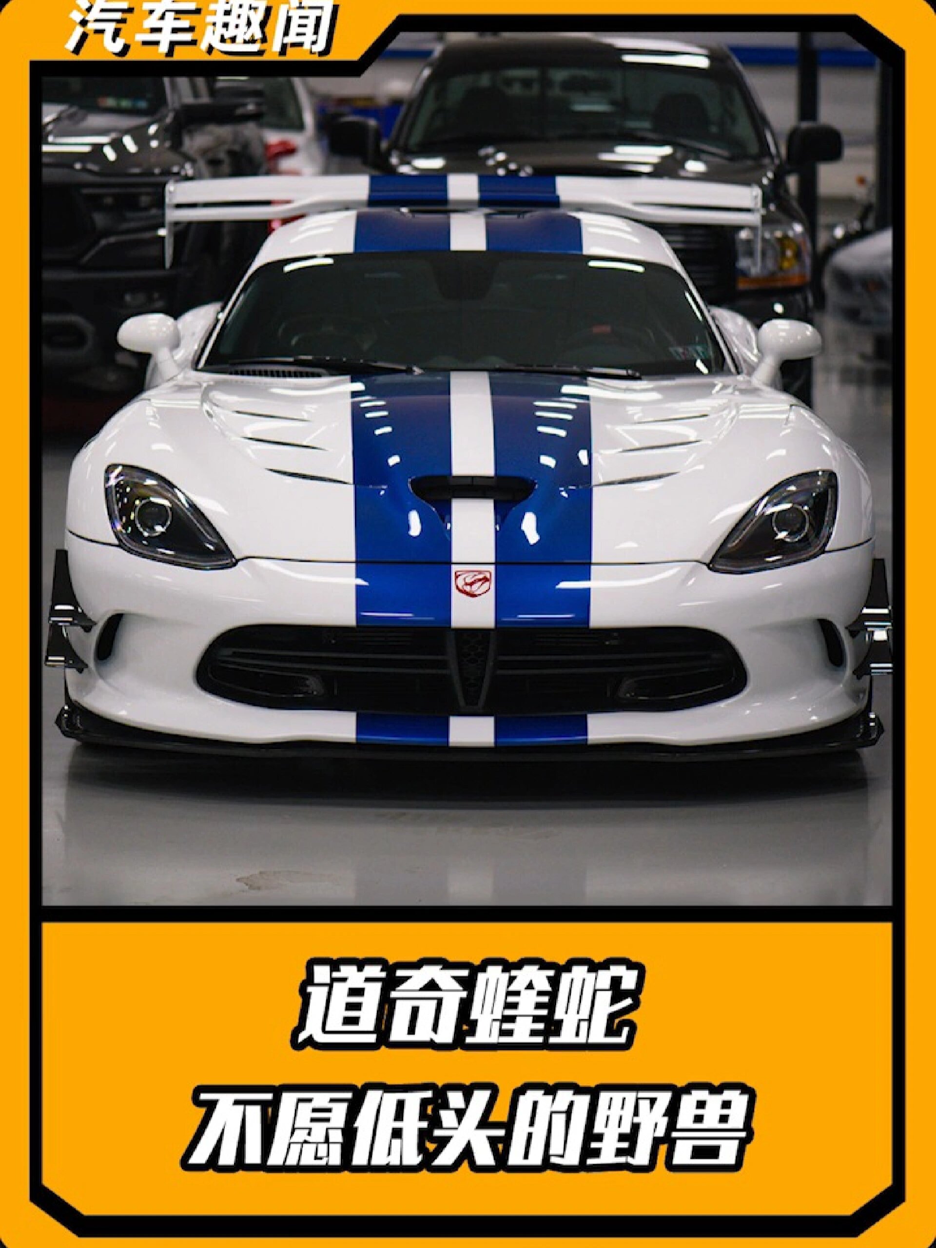 从不愿低头的野兽道奇蝰蛇!到底有多狂野?