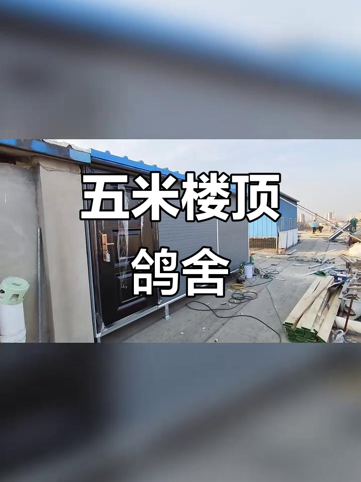 楼顶鸽棚设计,五米长三米深,欧式风格种鸽巢箱全配置