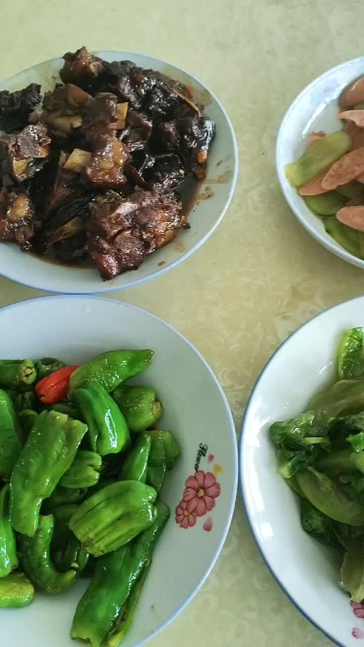 家常便饭吃得香 健康美食自己做 荤素搭配 糖醋排骨