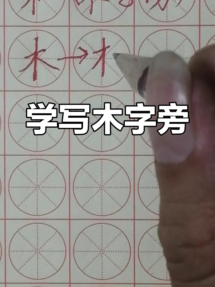 硬笔书法木字旁写法技巧,掌握这些要点轻松写出漂亮偏旁