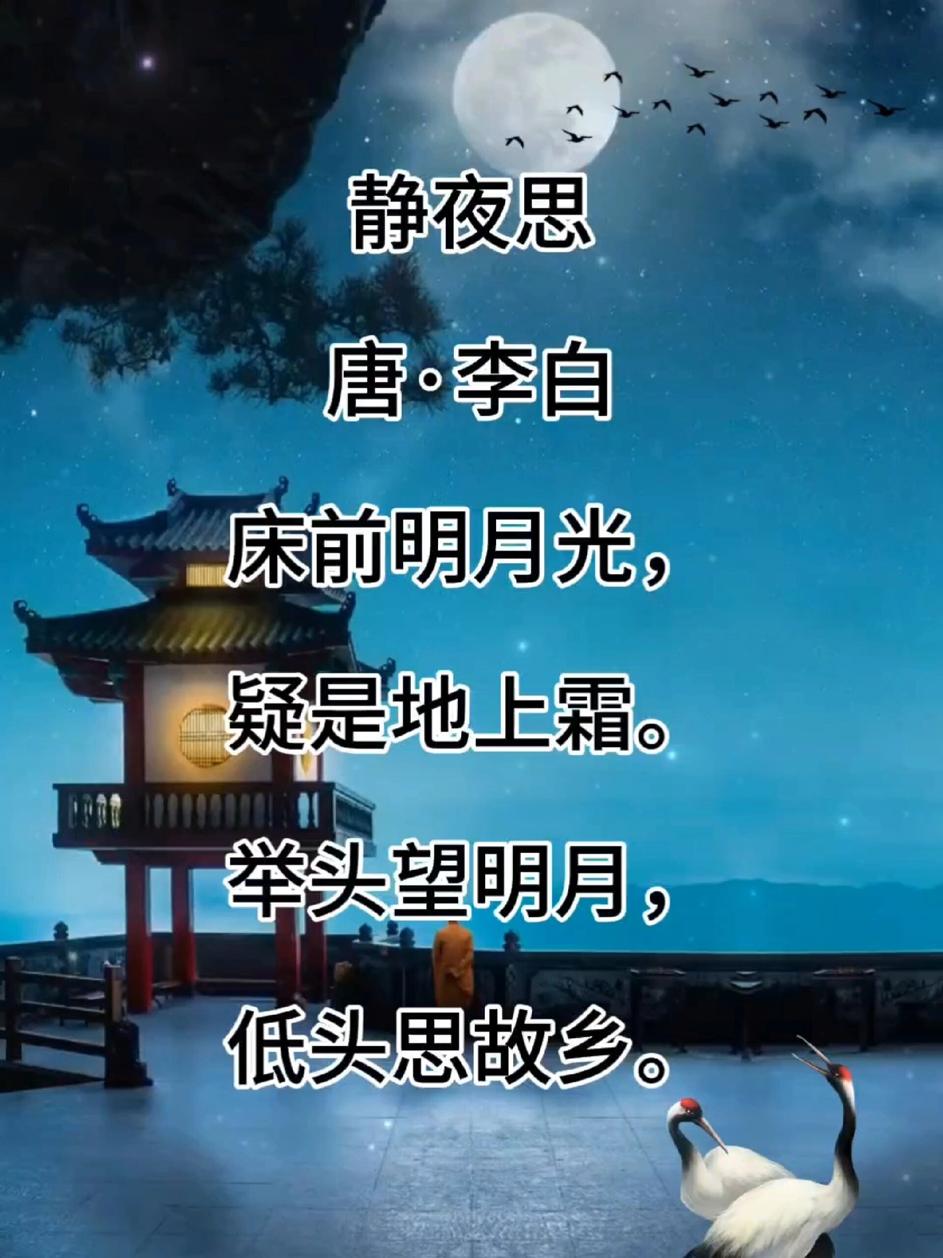 静夜思唐李白床前明月光疑是地上霜举头望明月低头思故乡译文	明