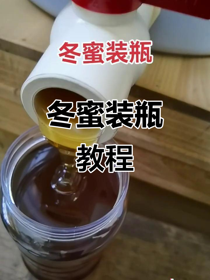 蜂蜜如何保存最好(蜂蜜如何保存最好的方法)