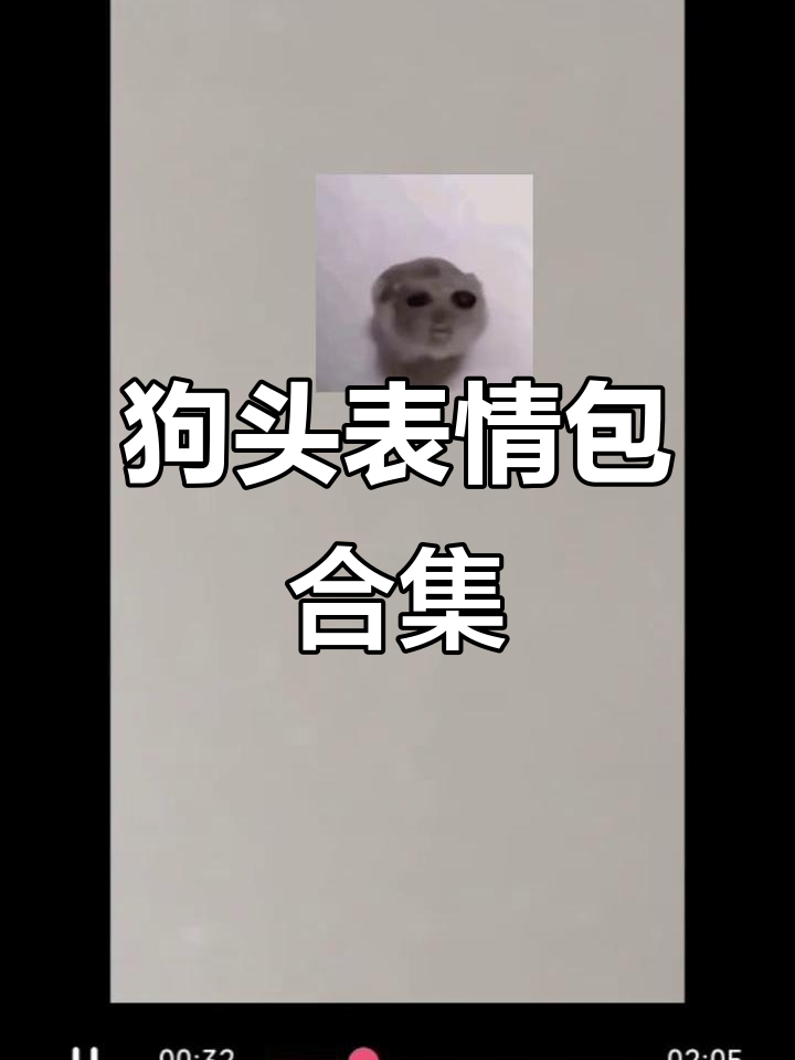 狗头表情包大赏,萌态十足!